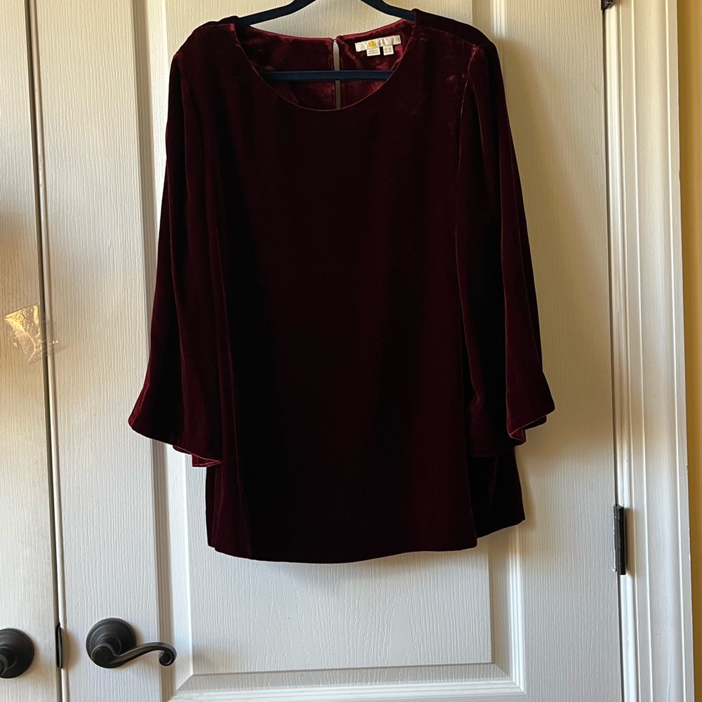 Boden cranberry color velvet top